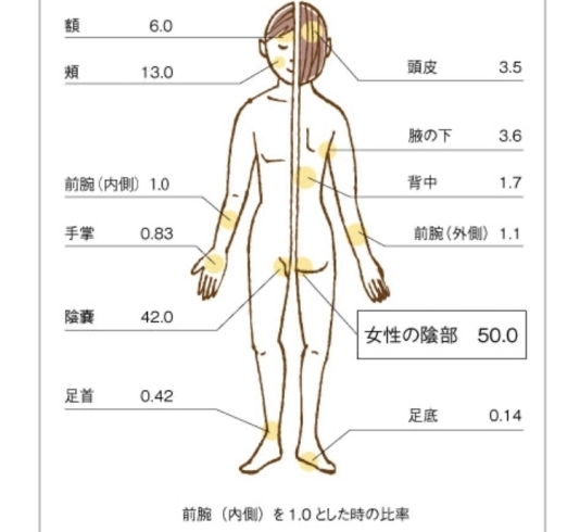 皮膚からの吸収率「からだに良いものを♡」