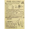 「今月のかぼちゃ新聞✨」