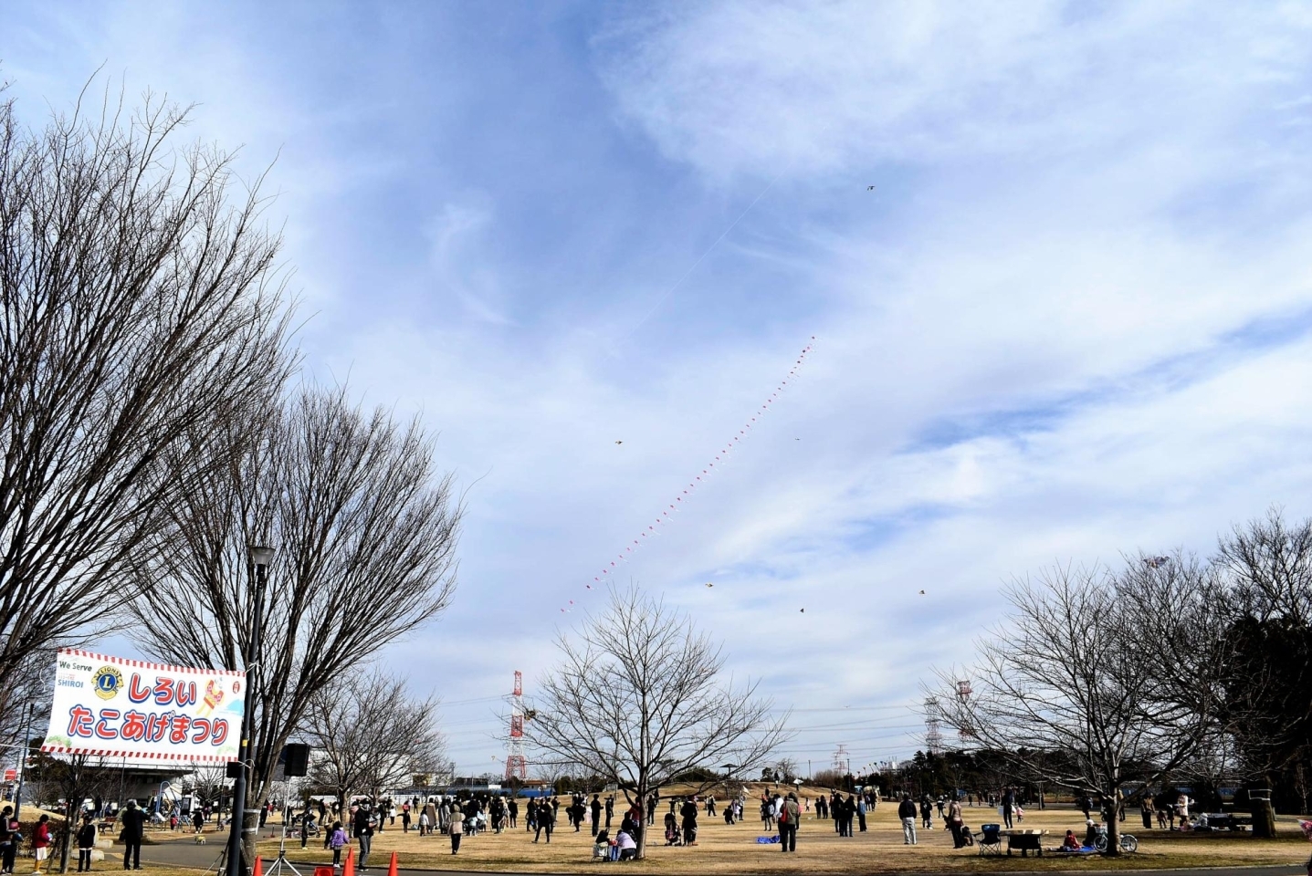 第5回しろい・たこあげまつり in 白井総合公園 | 白井の歳時記| しろい