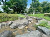 「2022年葛飾区のじゃぶじゃぶ池は9月11日（日）まで！（鎌倉公園のみ9月30日まで）」