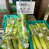 「信州産すいか『金色羅王』入荷しました！」