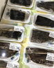 「魚魚市場鮮魚コーナーおすすめは「イサキ」です♪」