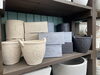 鉢「鉢の入荷」