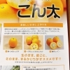 「静岡県産　黄金色金柑　「こん太」」