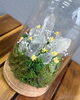 「【新作ジュエリウム登場｜天然石×お花が作る世界に一つだけの一点物】」