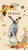 「Dog salon mofu mofu　余市町」
