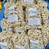 「特大『玉菊』入荷しました！直売所屋外 植木コーナー」