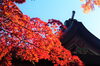 「生島足島神社の紅葉」