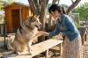 ヤギの顎を撫で、大きな犬と手を重ね、生き物本来のありのままの姿を嗜む。「3月の稼働率は98%。なぜ今、和心村の里山の「地味」が選ばれるのかについて探究してみました。そして、学生限定プランが常設プランにすることに決まりました！」