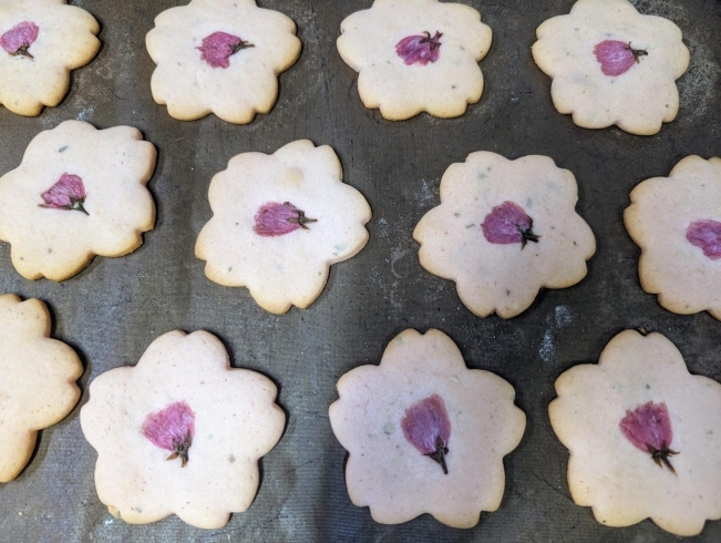 桜のクッキー「桜のクッキー」