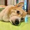 Today's hug.「Good morning Otaru. 令和4年9月29日 木曜日」