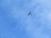 「航空写真撮影を行いました」