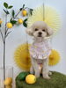 きなこちゃん「わんことレモン🍋」