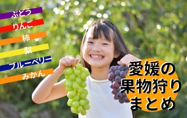 愛媛県内の果物狩りスポットを紹介します！