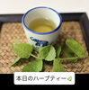 「【横山町店より】施術後もアフターティーでゆっくりと🫖🌿　八王子　タイマッサージサロンゆらぎ横山町店」