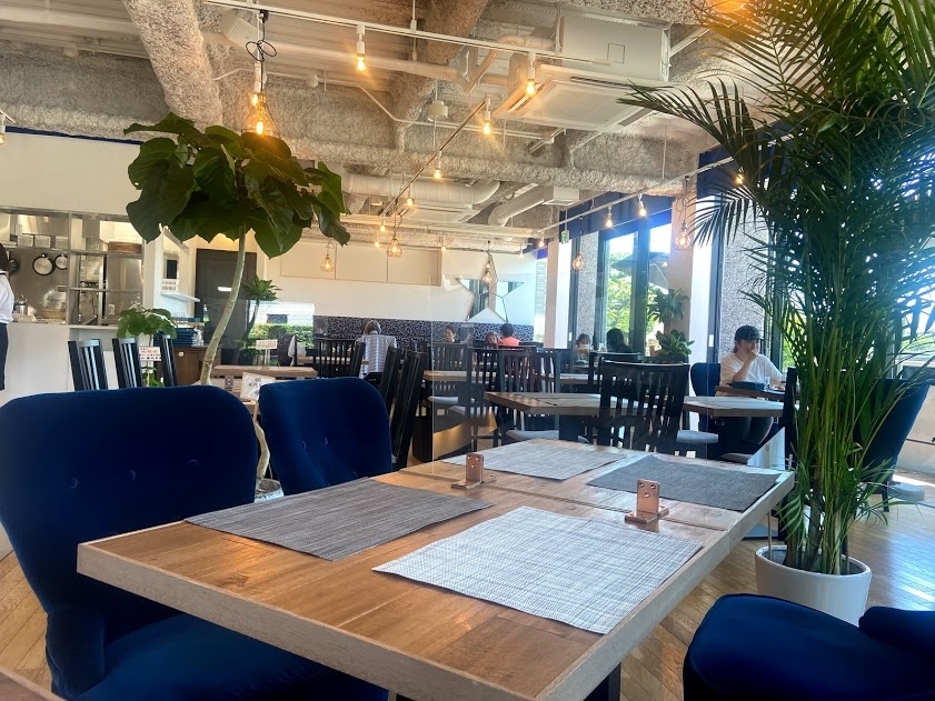 Will芦屋 芦屋市の新店特集 まいぷれ 芦屋市 Will芦屋 芦屋市の新店特集 まいぷれ 芦屋市