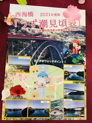 「西海橋は桜で満開「明日から大潮です」♪」