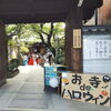 昨年度の様子「【イベント情報】墨染寺で開催！子どものためのハロウィン祭♪」