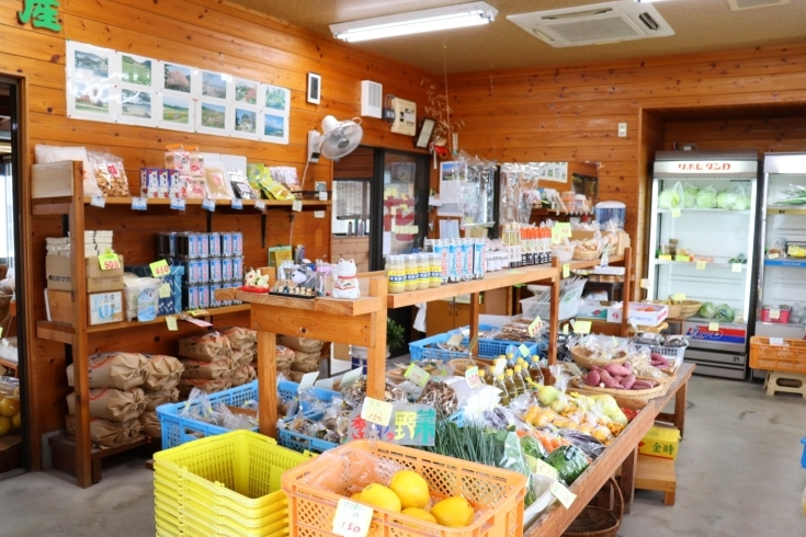 南あわじ市にある産直かかしです 淡路島さんの美味しくて旬の野菜が並んでいます また淡路島のお土産も取り揃えております シキミや線香までありますよ 産直 かかしのニュース まいぷれ 淡路島 南あわじ市にある産直かかしです 淡路島さんの美味しくて旬の野菜が並んでいます また淡路島のお土産も取り揃えております シキミや線香までありますよ 産直 かかしのニュース まいぷれ 淡路島