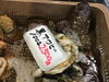 「魚魚市場鮮魚コーナーおすすめは「岩かき」です♪」