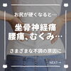 「お尻がガチガチじゃないですか？坐骨神経痛や腰痛などにも関係する仙骨まわりを緩めよう！（=^ェ^=) 整体・オイル・リーディング・占い・顔そり・氣功」