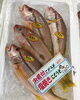 「魚魚市場鮮魚コーナーおすすめ商品は「水イカ」です」