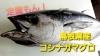 本日のお刺身 釣りもん 赤水 キジハタ 定置もん 島根県産コシナガマグロ 寺津屋 仕出し 会席料理のニュース まいぷれ 松江