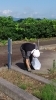 「7月の一斉清掃を行いました（●＾o＾●）」