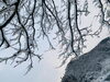 よく降ったね「雪の呼吸　壱ノ型 雪面斬り(`L_` )斐川町 仏壇」