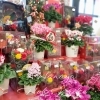 「【はなやホック皆生店】店内ギフト商品がたくさんです。」