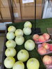 「国産うなぎのご予約承り中！」