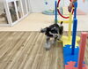 こなつちゃんスラローム挑戦中「ましゅまろ幼稚園🐾」