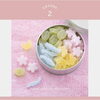 いろどり～蝶・鮎・桜・木の葉～（2.5時間）