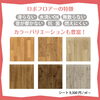 ロボフロアの特徴「犬にぴったりな床☺️」