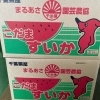 「千葉県産　「すいか」の入荷も始まりましたー🍉」