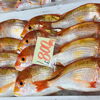 「魚魚市場鮮魚コーナーおすすめ商品は「本ガツオ・レンコ鯛」です♪」