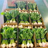 「岩手県産「かぶ」の出荷が始まってますよ～♪♪」