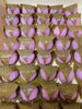 桜もち「桃上用まんじゅう♪」