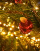 「/／ Christmasが近づいています！ \＼」