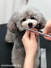 「冬のオプションキャンペーン　^ - ^」