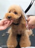「冬のオプションキャンペーン　^ - ^」