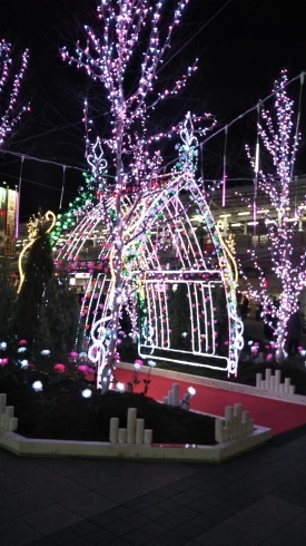 自由が丘駅前のイルミネーションです「オールジャパン メダリストオンアイスに行って来ました」