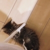 まる　くん