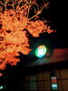 「《明日11/28(月)は定休日になります》」