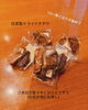 「ありがとうの1周年」