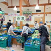「農産物直売所『山菜』入荷しています！」