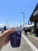 「【道の駅 田園の里うりゅう】雨竜町 おいしい初夏んまつりへ行ってきました」