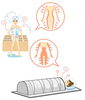 30分で大量の汗がでます。「遠赤ドームで身体の芯までぽかぽか　この時期人気です【女性専用】24時間ジムのアワード八王子」