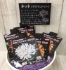 ネリネ（ダイヤモンドリリー）「♬　定休日のおしらせ　♬」