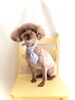 リリちゃん「春です　ファイト」
